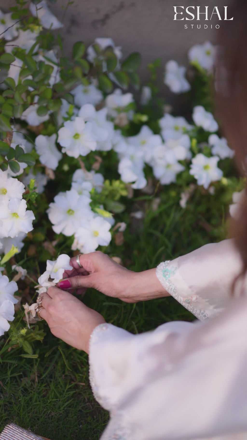 Mehak - Ivory Whisper Co-ord