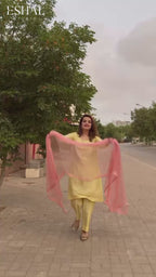 embroidered suit for women